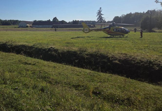 Tragedia na drodze. Wjechał w krowę motocyklem. Zwierzę nie żyje, lądował śmigłoiwec LPR