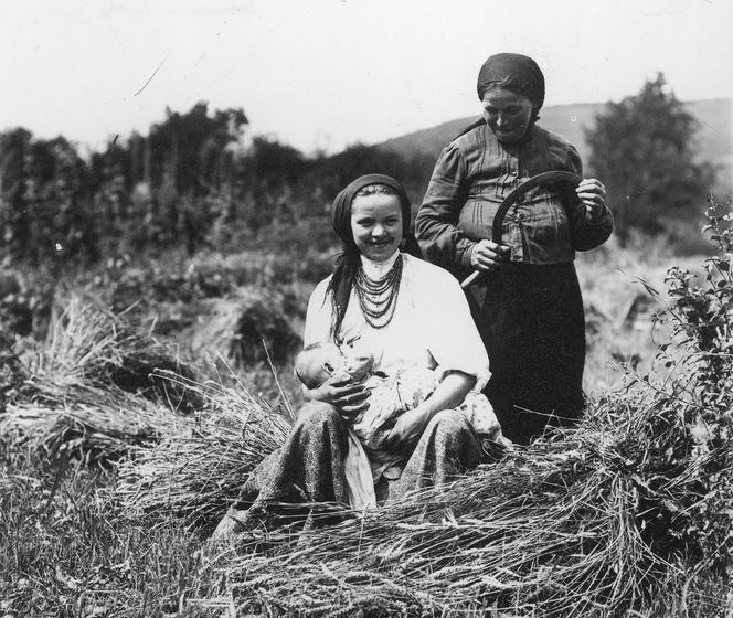 Kobieta karmiąca niemowlę i jej matka podczas żniw, 1933