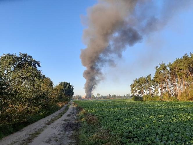 Pożar w fabryce mebli we wsi Łąkie pod Świebodzinem