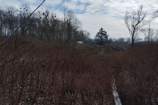 Kontrowersyjna wycinka drzew pod trasę N-Ś w Rudzie Śląskiej. Mieszkańcy: to jest fałszerstwo na duża skalę, to skandal