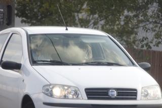 MUSZĘ ŁAPAĆ >>STOPA<<, BY ZOBACZYĆ SWOJE CÓRECZKI.