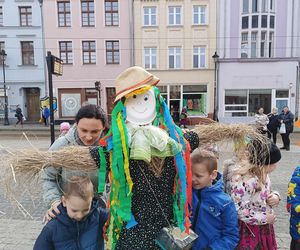 Przemarsz przedszkolaków z marzannami ulicami Grudziądza