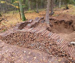 Na Mazurach saperzy odnaleźli 2 tys. niewybuchów z czasów II wojny światowej