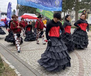 Z 22. Międzynarodowego Zlotu Morsów w Mielnie siedlczanie wrócili z sukcesem na koncie!