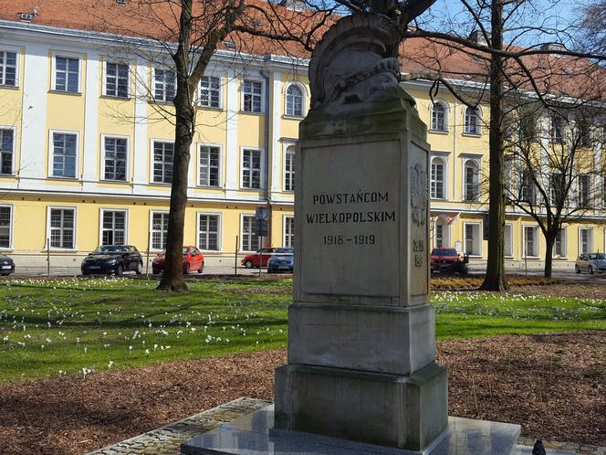 Kończy się czwarty etap rewitalizacji parku na Pl. Kościuszki w Lesznie