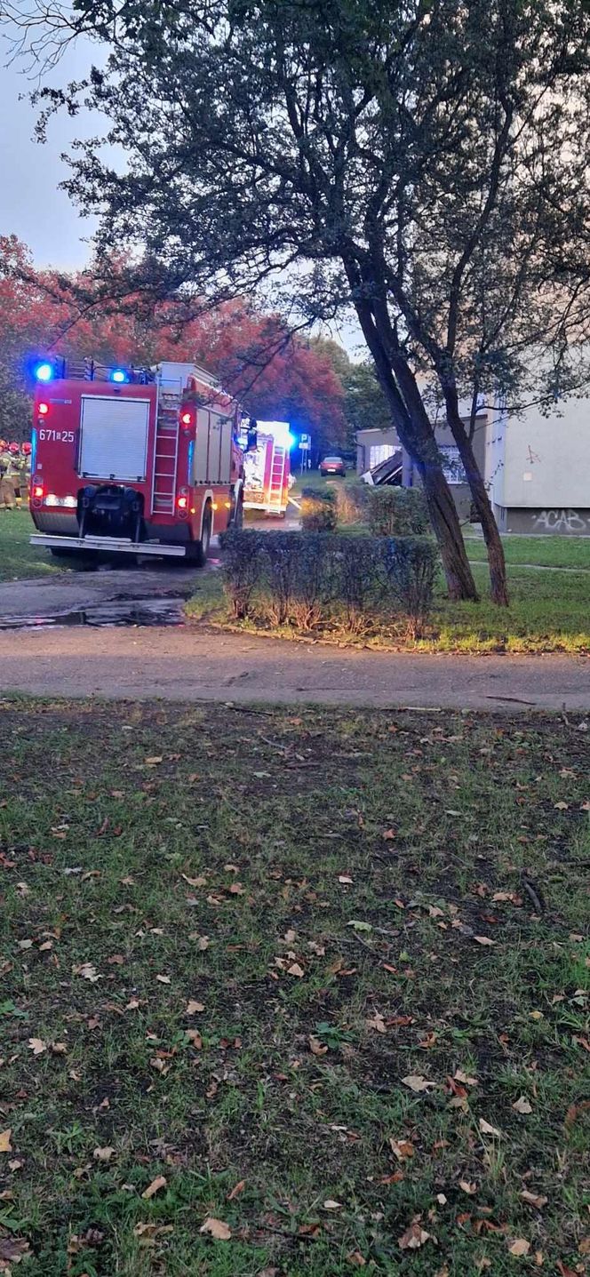 Pożar mieszkania przy ul. Kalinowej w Zabrzu