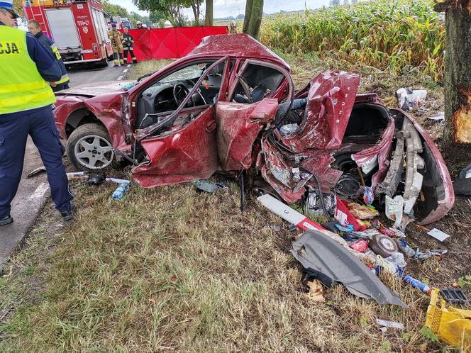 12-latek zginął w wypadku, który spowodował jego brat