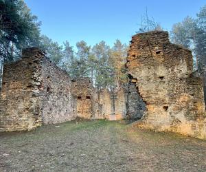 Ruiny kościoła w świętokrzyskim lesie. Legenda mówi, że pochodzą z XII wieku