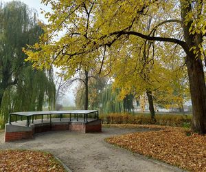 Zamojski Park jesienią