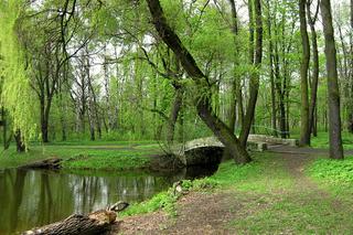 Park Zielona w Dąbrowie Górniczej