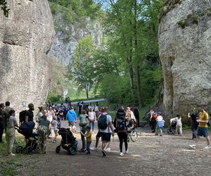 Majówkowe szaleństwo w małopolskiej wsi. Leży na terenie parku narodowego