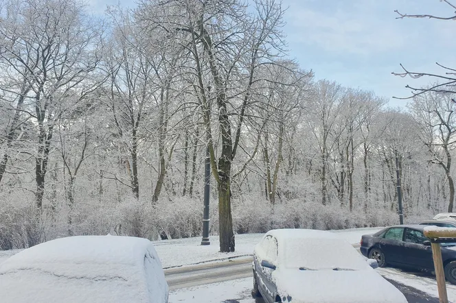 Zima pokaże paskudne oblicze. Śnieżyce i wichury do 100 km/h to nie wszystko!