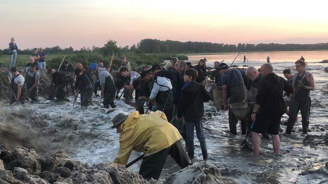 Poszukiwacze bursztynu w Rewie. Jak wyglądają poszukiwania złota Bałtyku? 