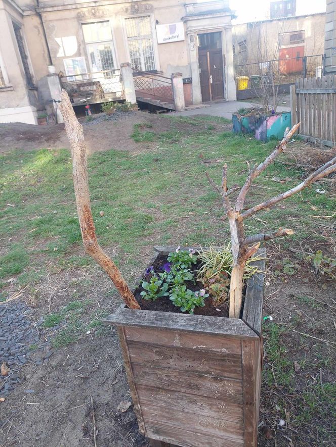 Muzeum Patyka w Toruniu