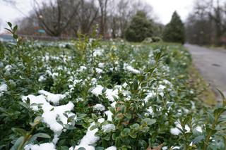 Marcowy atak zimy w Białymstoku i okolicach. Tak zima zaskoczyła białostoczan