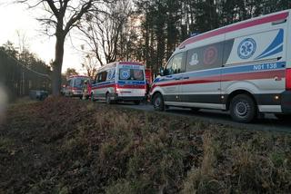 Wypadek na trasie Pilec - Święta Lipka. Siedem osób trafiło do szpitala [FOTO]