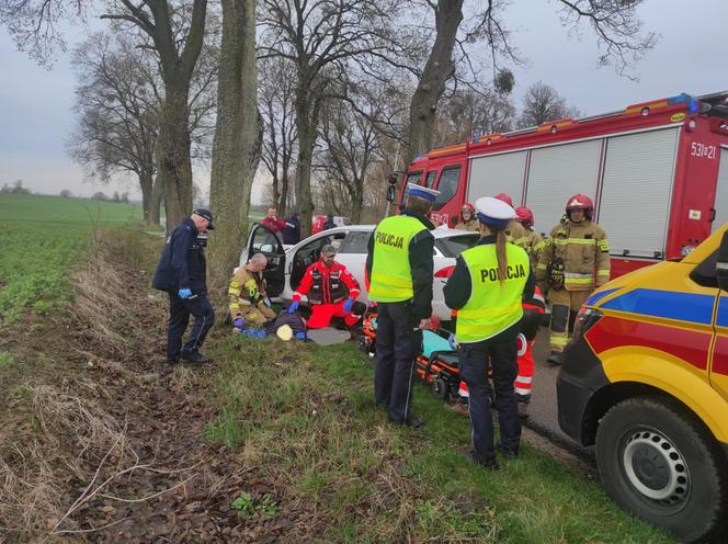 Wypadek w Nastajkach. Jaguar uderzył w drzewo. Kierowca trafił do szpitala! [ZDJĘCIA]