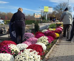 Przygotowania do Wszystkich Świętych Zamość