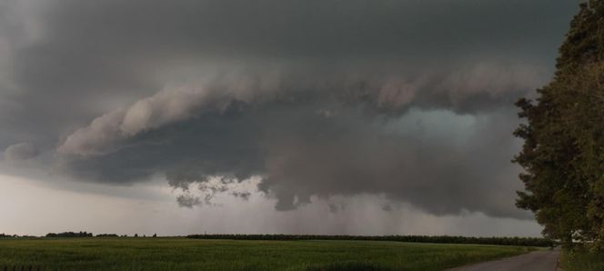 Potężne burze nad Polską. Drzewa spadały na samochody, setki interwencji straży pożarnej 