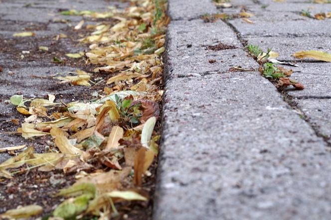 Lubelskie: Pijany wjechał w matkę z dwójką dzieci i... uciekł. Wyrok? Pięć i pół roku