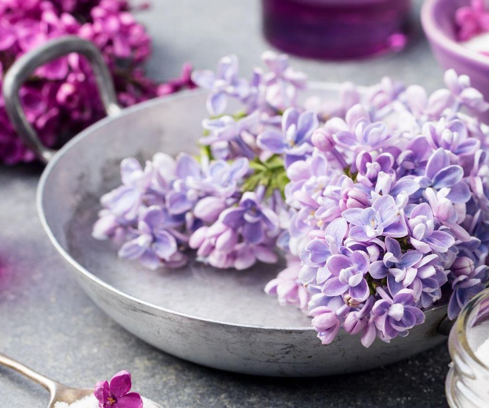 Liliowy syrop z kwiatów bzu lilaka – aromatyczna perełka z ogrodu pełna smaku i zdrowia!