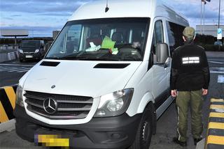 Dwa skradzione busy marki Mercedes-Benz miały trafić na Ukrainę
