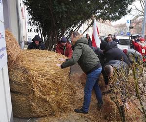 Protest rolników w Białymstoku. Rolnicy rozsypali bele słomy przed biurami PO i PiS