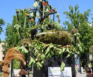 Weekend z florystyką w Lublinie. Zobacz imponujące roślinne instalacje w centrum miasta!