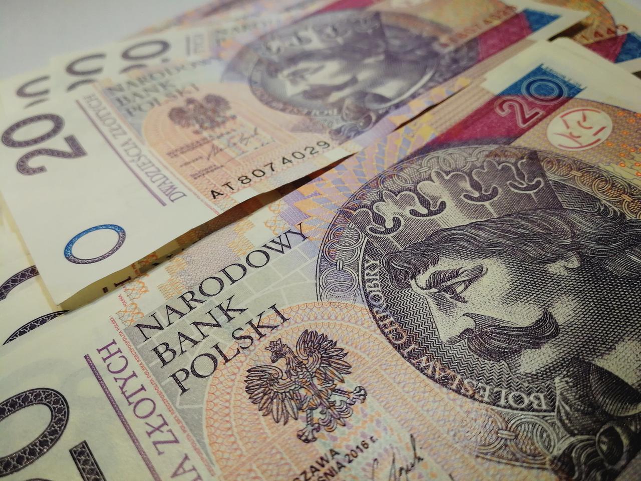 Blisko 4 i pół tysiąca płocczan szuka zatrudnienia. Tak wynika z najnowszych danych 