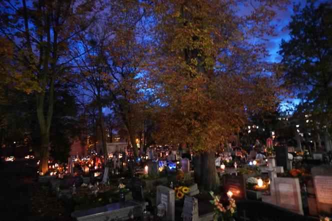 Tak wygląda Cmentarz Starofarny w Bydgoszczy po zmroku w przeddzień Święta Zmarłych. Zobacz zdjęcia