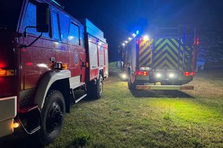 Powiat garwoliński: Drzewo przewróciło się na garaż