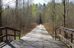 Biebrzański Park Narodowy