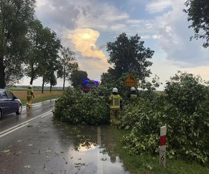 Podlaskie. Ponad 200 niedzielnych interwencji strażaków w związku z silnym wiatrem i burzami