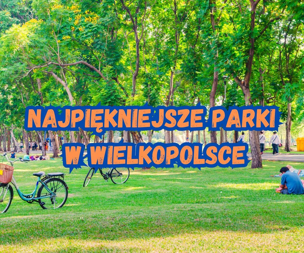 Najpiękniejsze wielkopolskie parki [ZDJĘCIA]