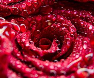 Życzenia imieninowe dla Jacka. Nie masz pomysłu, czego mu życzyć? Oto nasze propozycje