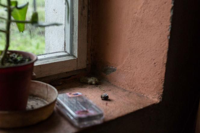 Stowarzyszenie Piękne Anioły i użytkownicy Ceneo wspólnie remontują pokoiki dla Kingi i Agaty