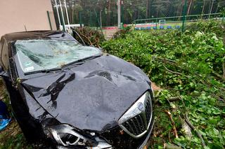 Trąba powietrzna przeszła przez Złocieniec