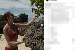 Słoneczny patrol gwiazd