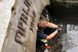 Interwencje Animal Patrolu Straży Miejskiej w Łodzi