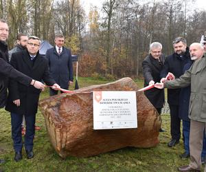 Aleja Polskiego Dziedzictwa Śląska w Katowicach