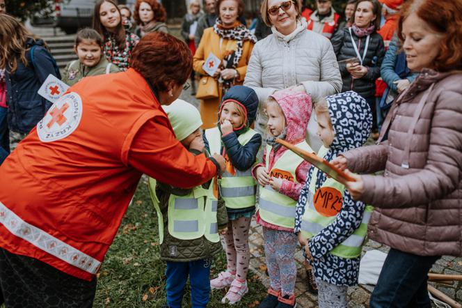 Oby rósł 100 lat! Dąb czerwony na jubileusz 100-lecia PCK