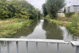 Przerwany wał przeciwpowodziowy na Wilanowie