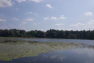 Pomost widokowy na Pogorii II w Dąbrowie Górniczej