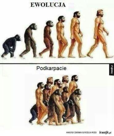 Mieszkasz na Podkarpaciu? Na pewno zaśmiejesz się z tych memów