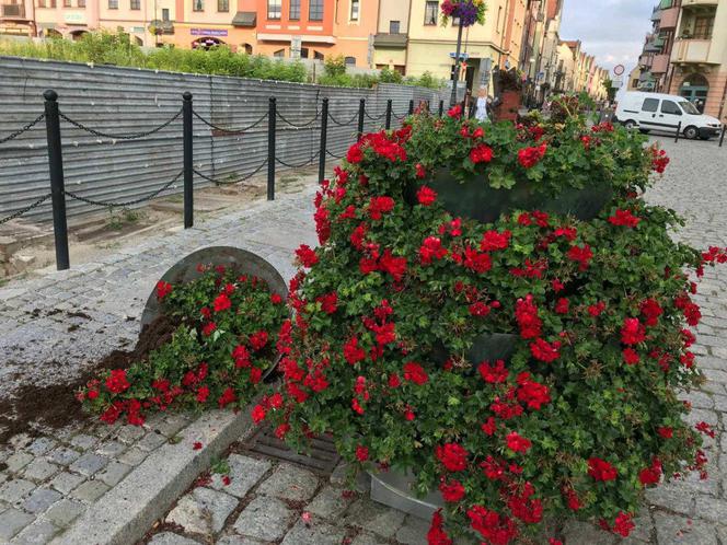Rosną koszty naprawy szkód