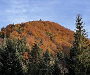  Jesień w Bieszczadach