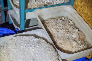 Zlikwidowano laboratorium klefedronu w Gliwicach. Przejęto pół tony narkotyków