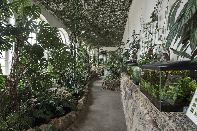 Zamknięcie Oranżerii w Muzeum -Zamku w Łańcucie - powstanie Centrum Edukacji Tradycji!