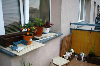 Mały balkon w bloku: PRZED i PO metamorfozie!
