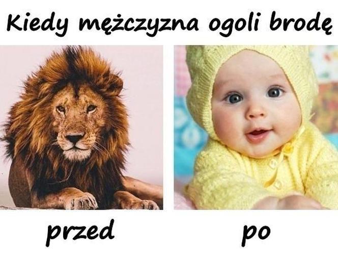 Memy o brodzie z okazji Światowego Dnia Brody